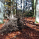Annette Philp: Drei Schwestern, 2021 (Videostill)
